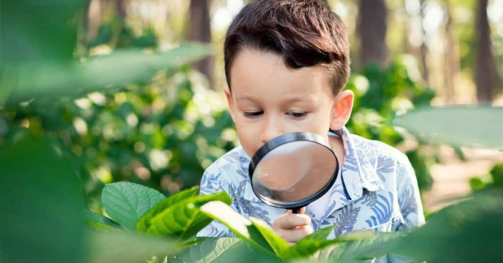 חקור את הטבע