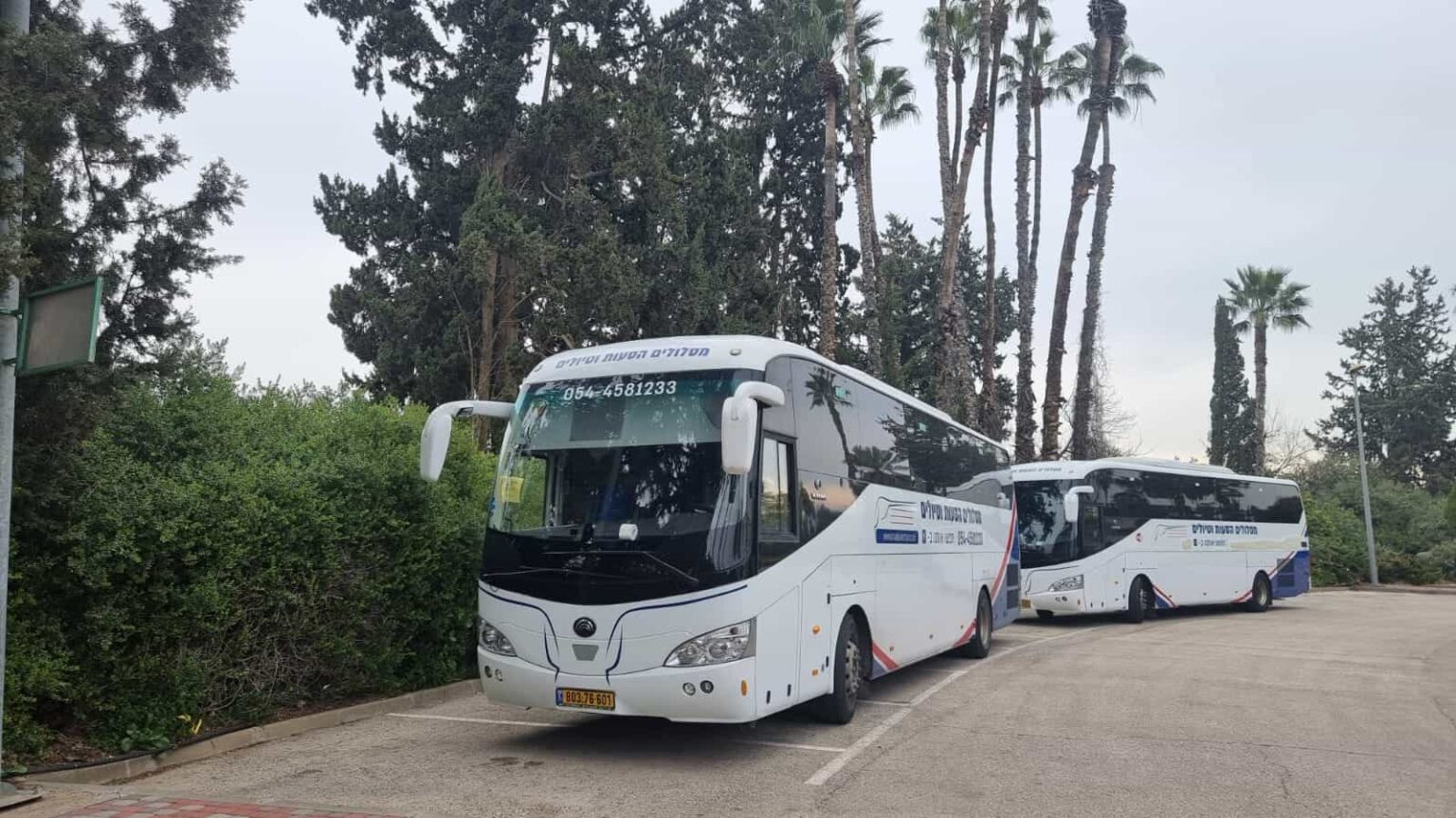 מתכננים חתונה מחוץ לעיר? אל תשאירו את האורחים לחפש טרמפים